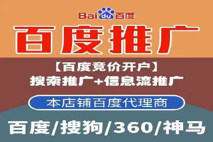 SEM代理服务：提升广告投放效果